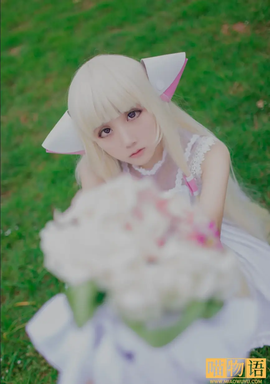 浅野菌子小叽cosplay写真套图
