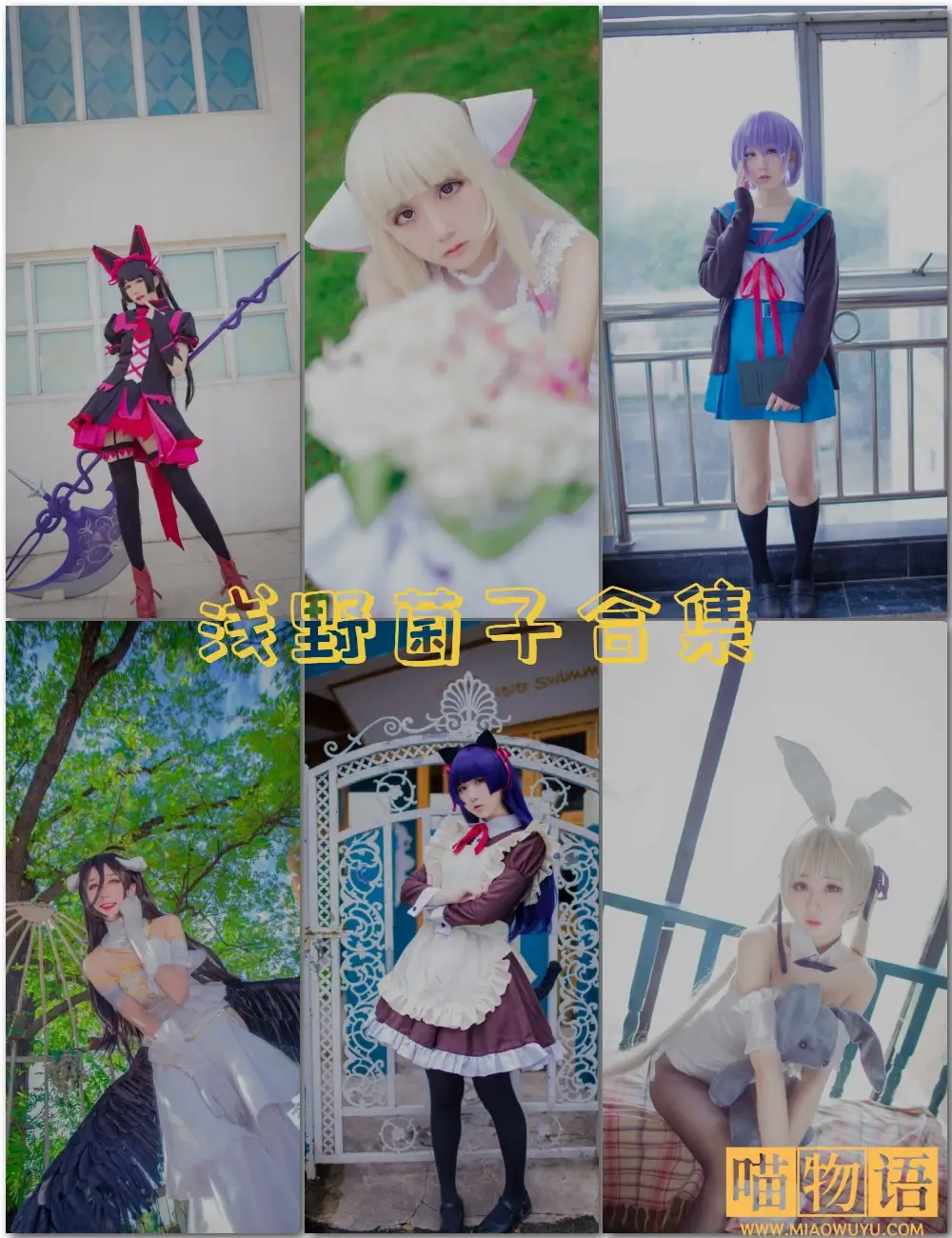 浅野菌子写真合集