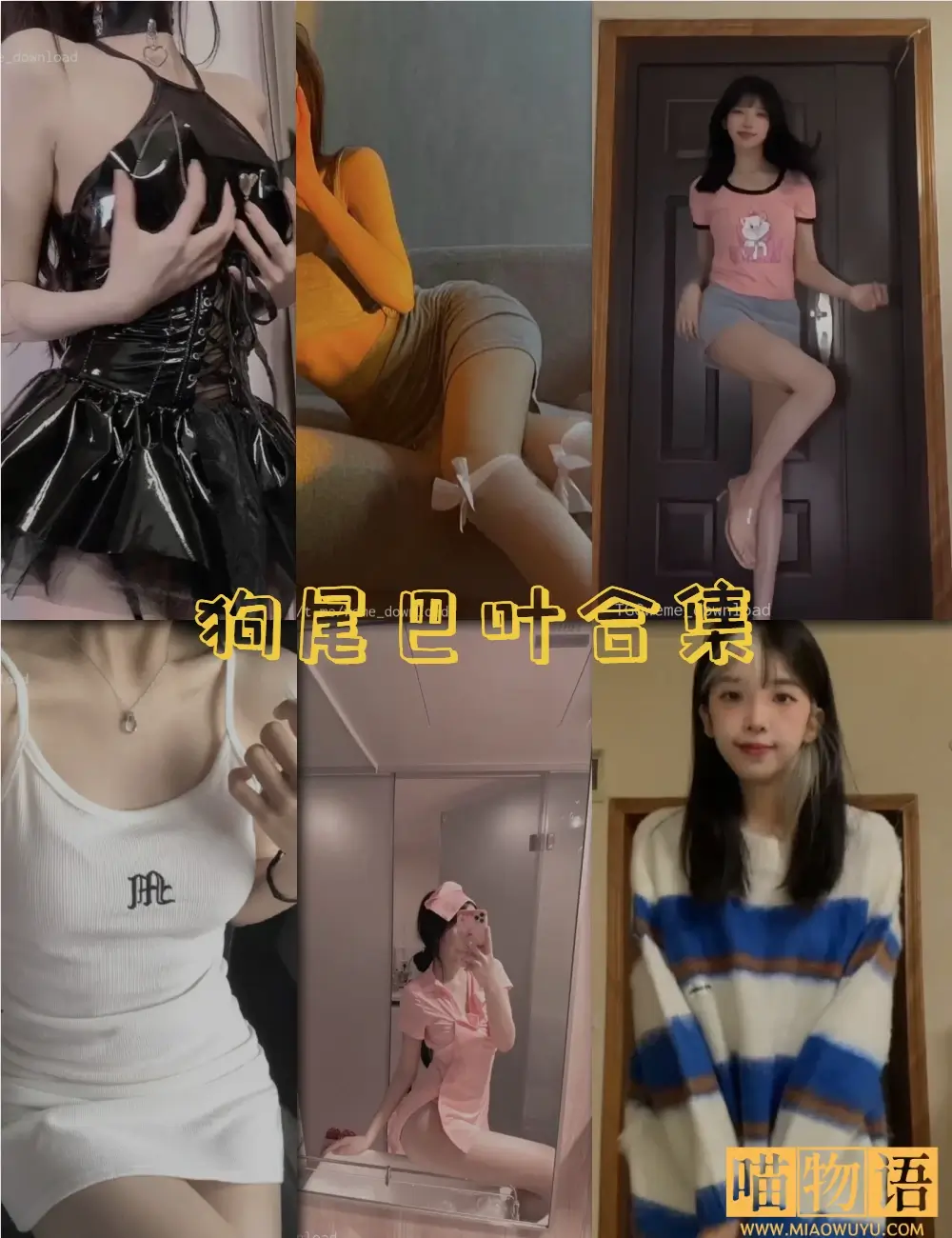 狗尾巴叶微密圈写真