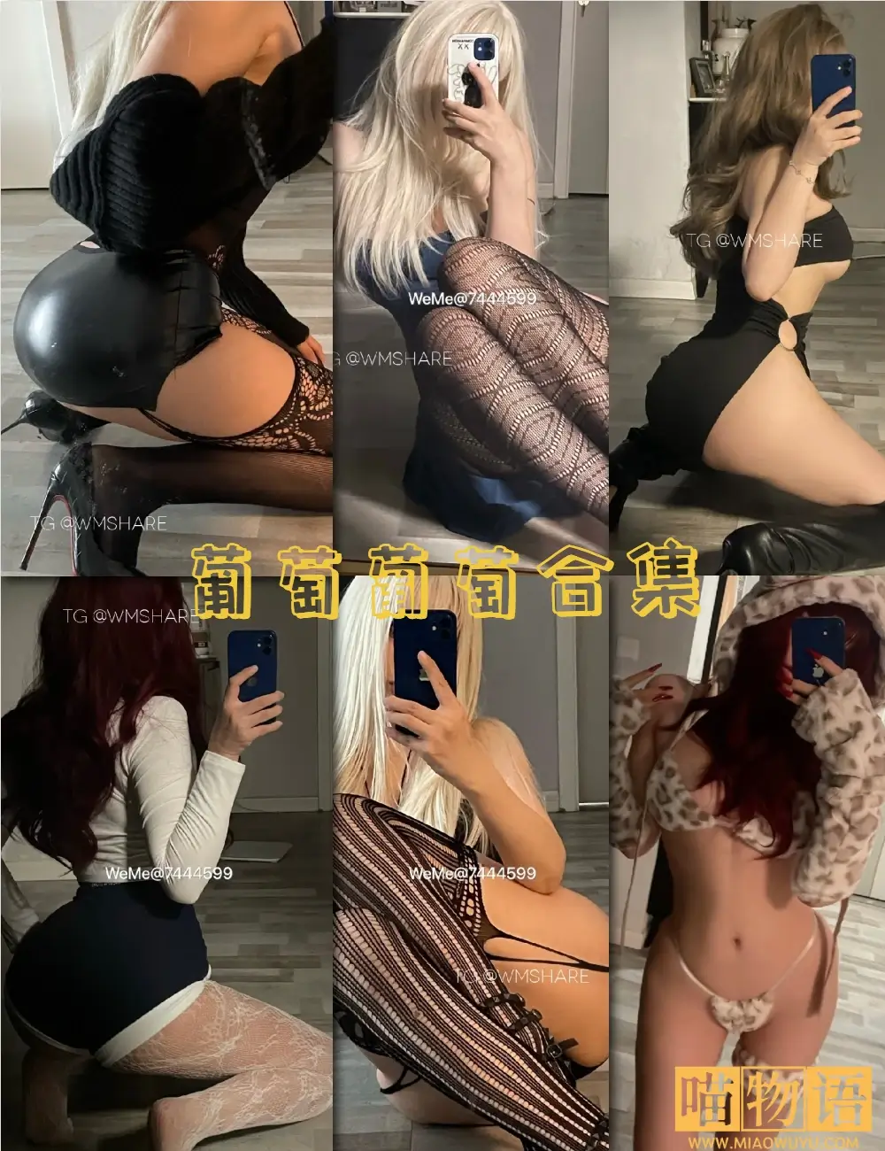 葡萄葡萄微密圈写真